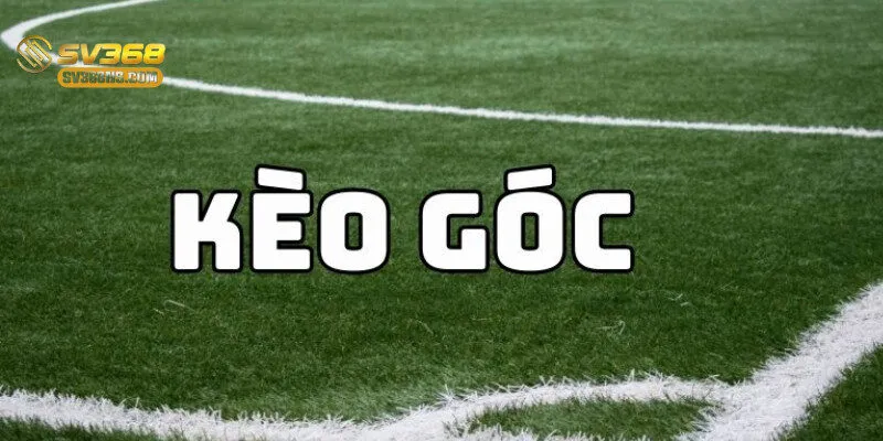 Người chơi phân tích kèo phạt góc trên giao diện 